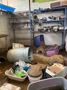 Brother Wolf Animal Rescue Destroyed By Helene Img 7142