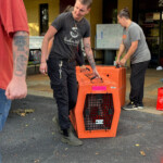 Brother Wolf Animal Rescue Destroyed By Helene Img 6481