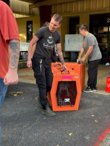 Brother Wolf Animal Rescue Destroyed By Helene Img 6481