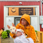 Brother Wolf Animal Rescue Destroyed By Helene Img 1772 Vsco