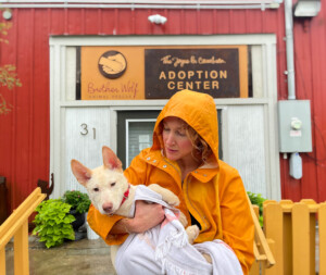 Brother Wolf Animal Rescue Destroyed By Helene Img 1772 Vsco