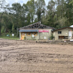 Brother Wolf Animal Rescue Destroyed By Helene Img 7121