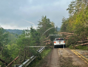 Screenshot 2024 10 01 At 112929am