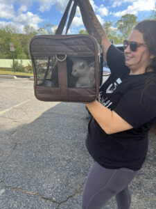 Brother Wolf Animal Rescue Destroyed By Helene Img 0201