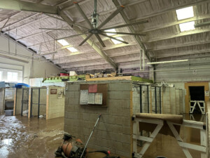 Brother Wolf Animal Rescue Destroyed By Helene Img 7153