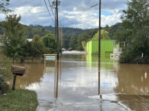 Brother Wolf Animal Rescue Destroyed By Helene Img 7038