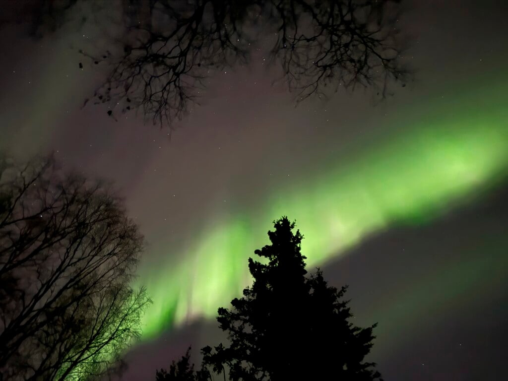 Northern Lights