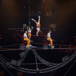 Ringling23