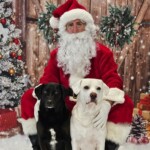 Santa Paws Fundraiser