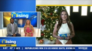 Annual Southern Christmas Show