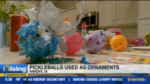 Pickle Ball Ornaments