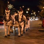 Winter Carnival Photo 2