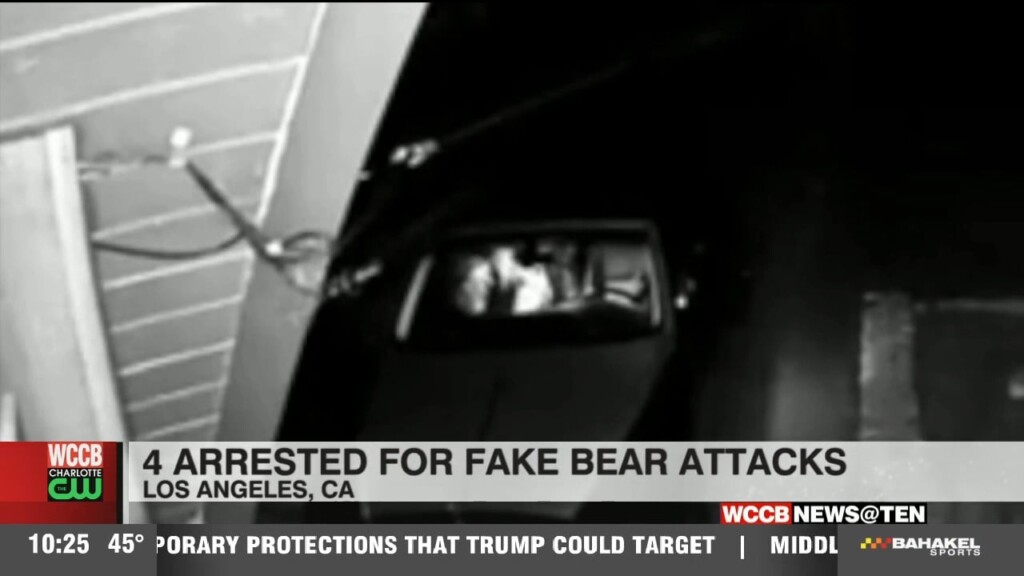 4 Arrested For Fake Bear Attacks