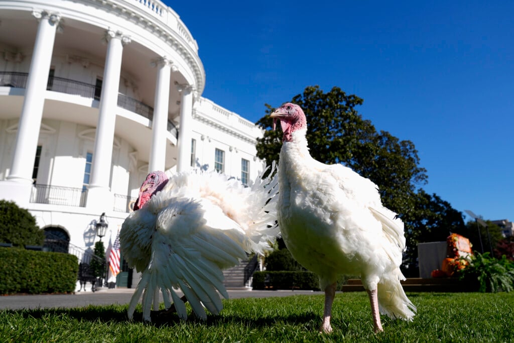 Biden White House Holidays
