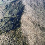 Photo by N.C. Forest Service