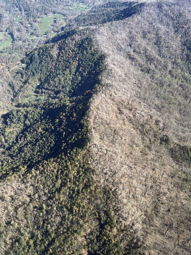 Photo by N.C. Forest Service
