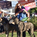 Dogs In Costumes Spooktacular