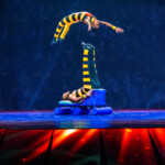 Ringling21
