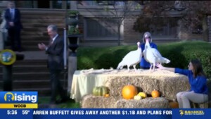 Nc Turkeys Pardoned