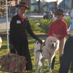 Dog Costume Spooktacular