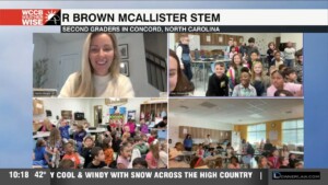 R Brown Mcallister Stem