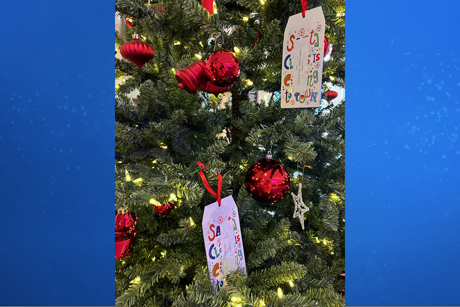Cabarrus Giving Tree