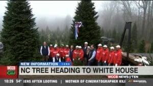 Nc Tree Heading To The White House