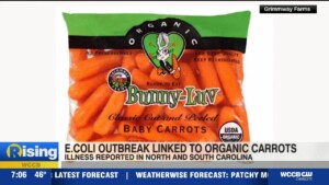 E. Coli Outbreak Linked To Carrots