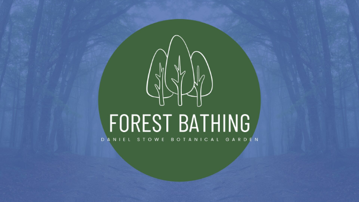 Forest Bathing At Daniel Stowe Botanical Garden - WCCB Charlotte's CW