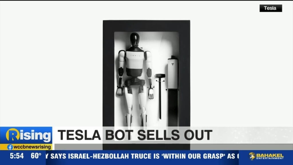 Tesla Action Figure