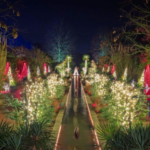Holidays At The Garden