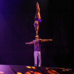 Ringling07