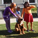 Scooby Doo And The Gang