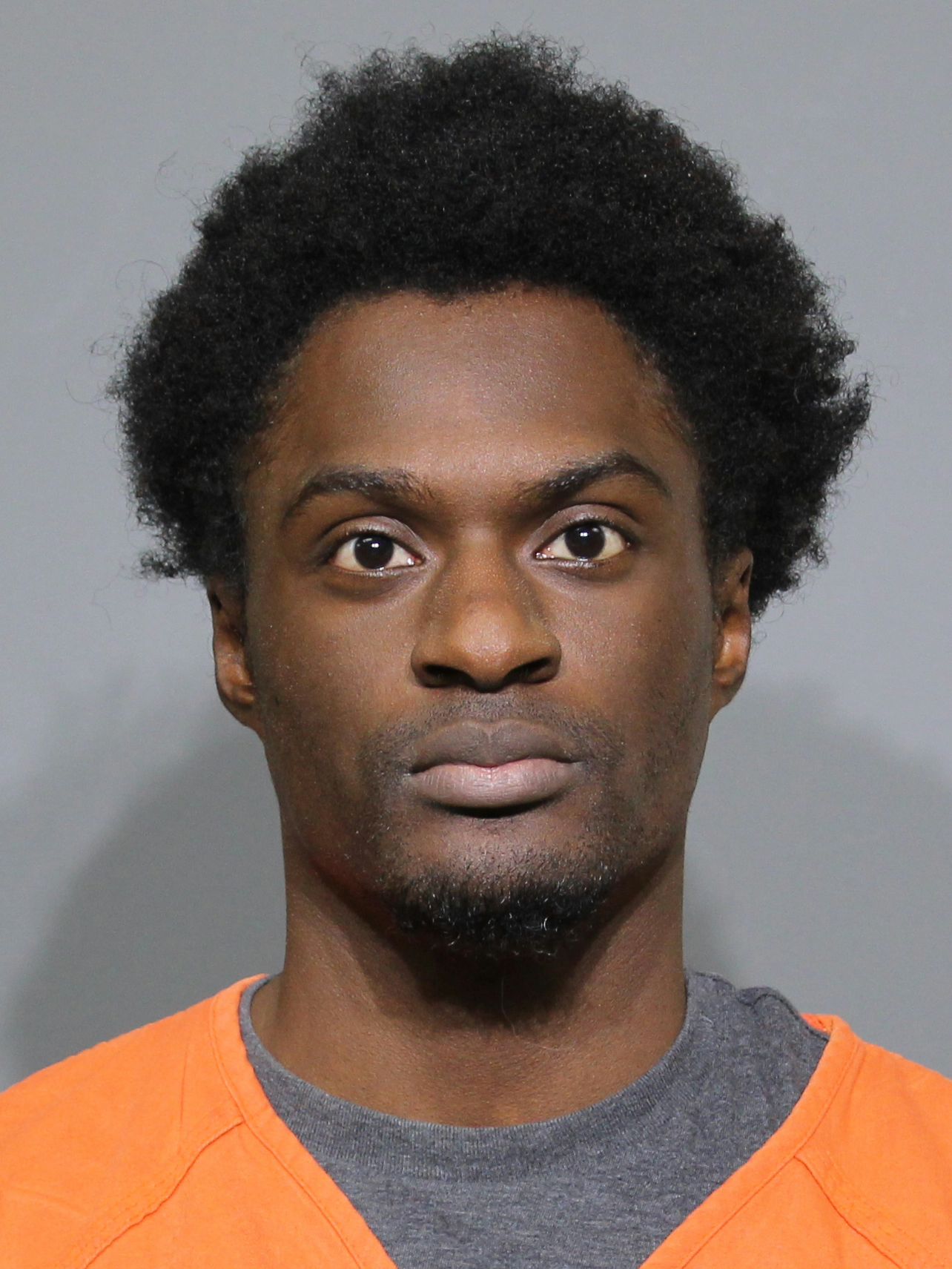 Rock Hill man arrested, charged with possession of child sexual abuse