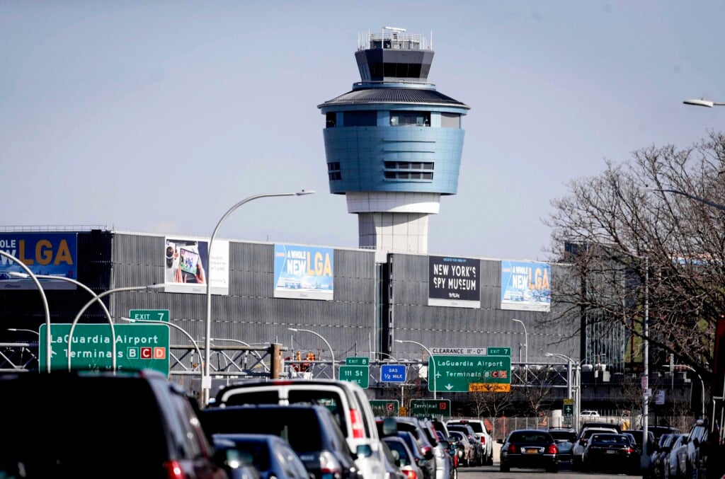 Flight Diverted Bird Strike