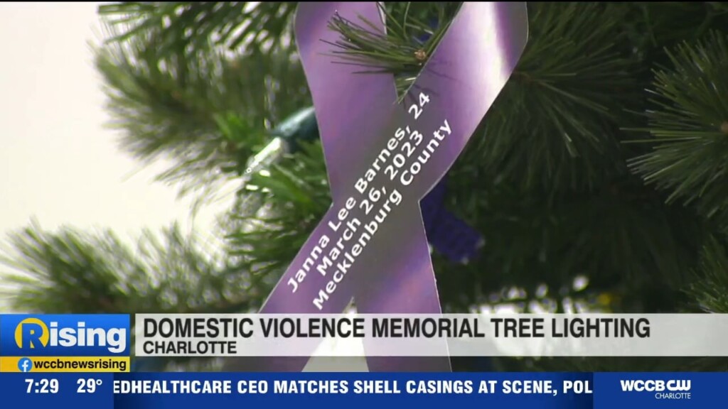 Domestic Violence Memorial Tree Lighting
