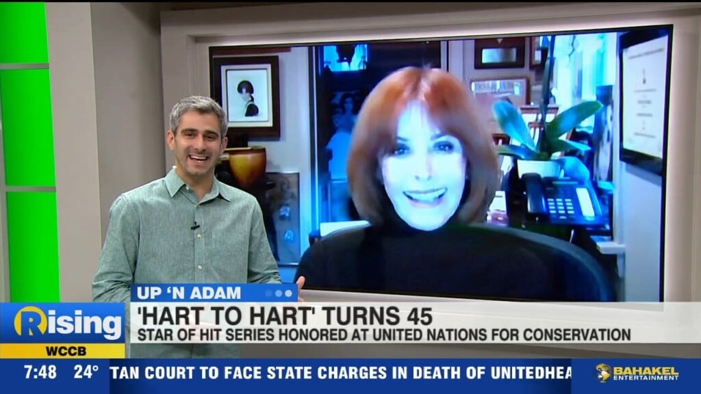 "hart To Hart" Star Stefanie Powers Wins Award At Un