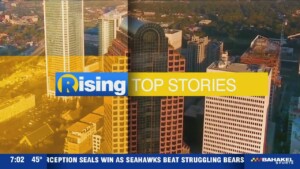 Homicide Investigation