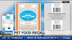 Pet Food Recall