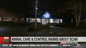 Animal Care And Control Warns About Scam