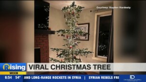 Couple Finds Viral Christmas Tree