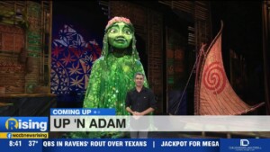 Up 'n Adam: More From The Disney Treasure!