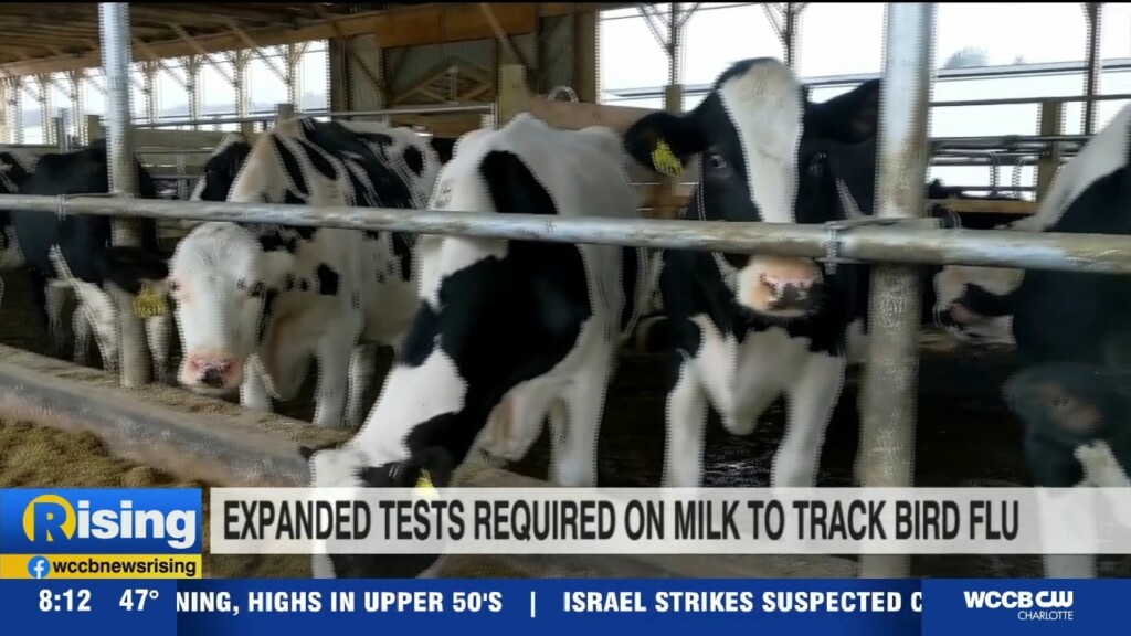 More Milk Testing Required To Track Bird Flu