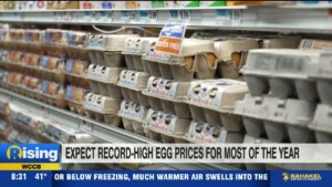 Egg Prices Continue To Rise