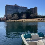 Img 0987 2