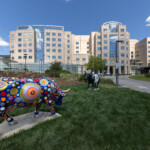 Cow Parade