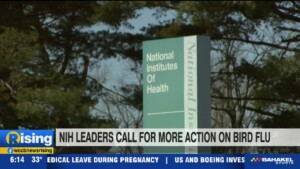 Nih Calling For More Action On Bird Flu