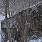 Dsc 0927