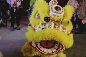 Lion Dancing