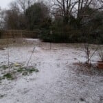 Photo courtesy: Laurie McKnight in East Charlotte